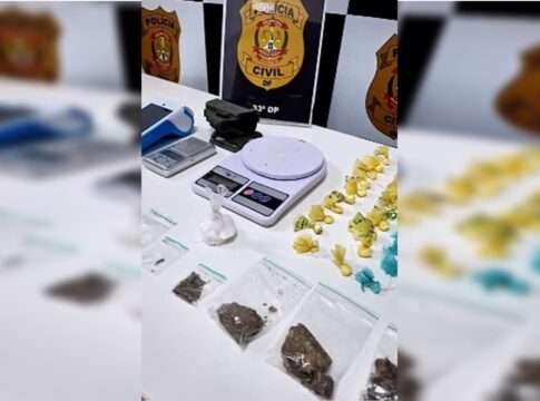 mulher-utilizava-propria-casa-como-ponto-para-trafico-de-drogas-no-df