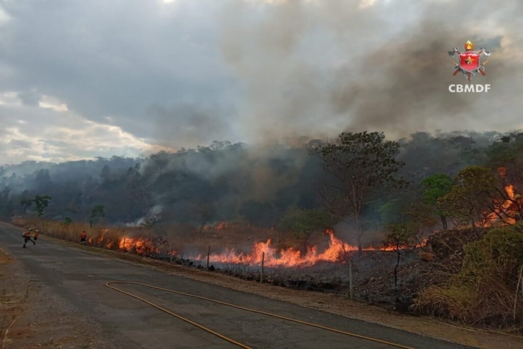 incendio-atinge-141-hectares-de-vegetacao-no-df-neste-domingo-(21/9)