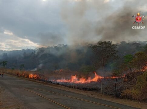 incendio-atinge-141-hectares-de-vegetacao-no-df-neste-domingo-(21/9)