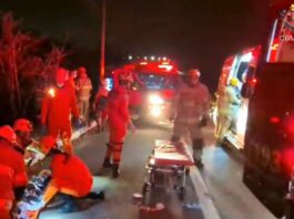 df:-mulher-morre-e-2-criancas-ficam-feridas-apos-carro-bater-em-poste