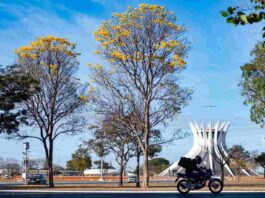 chegou-a-primavera!-estacao-comeca-no-df-com-calor-e-chuvas-isoladas
