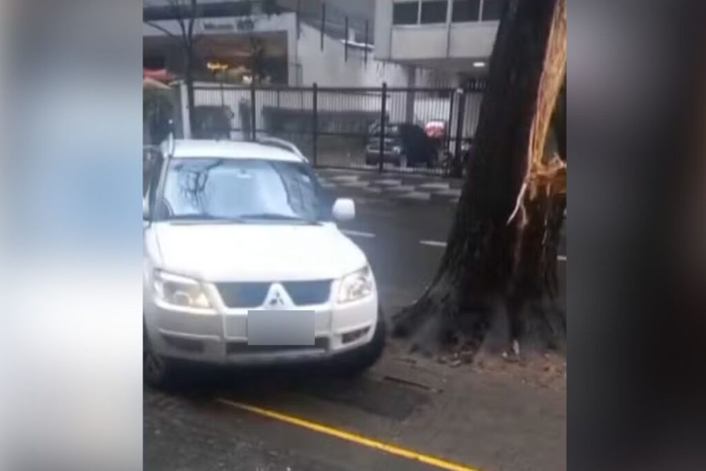 duas-arvores-caem,-acertam-carros-e-bloqueiam-via-na-regiao-central