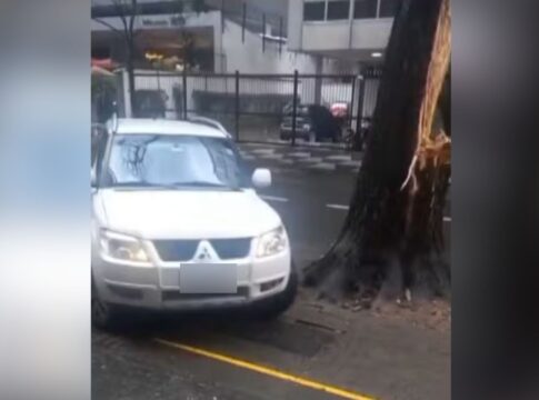 duas-arvores-caem,-acertam-carros-e-bloqueiam-via-na-regiao-central