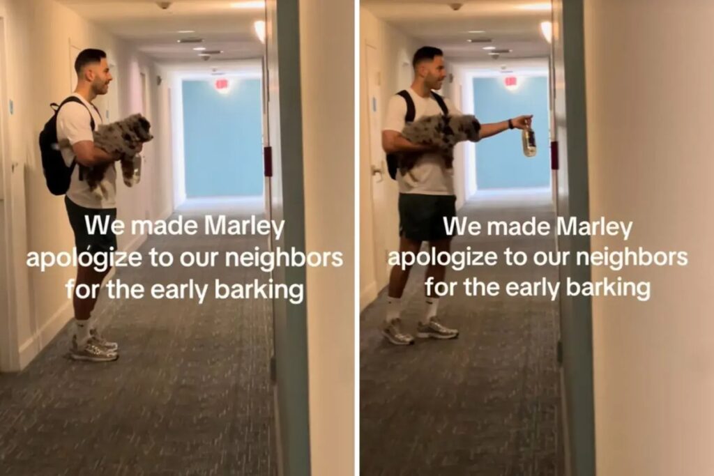 tutor-leva-cachorro-para-“se-desculpar”-por-latir-demais-e-viraliza