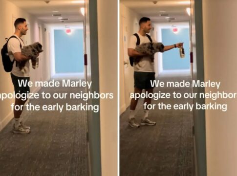 tutor-leva-cachorro-para-“se-desculpar”-por-latir-demais-e-viraliza