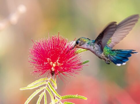 primavera-comeca-com-ondas-de-calor-e-baixa-umidade-no-pais