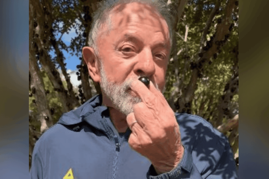lula-leva-jabuticabas-para-rainha-da-suecia:-“surpresa-muito-bonita”