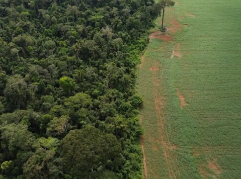 brasil-apresenta-solucoes-de-financiamento-climatico-em-nova-york