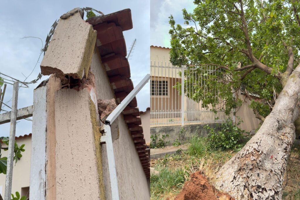 video:-vento-forte-derruba-arvore-e-muro-de-casa-no-df-fica-destruido