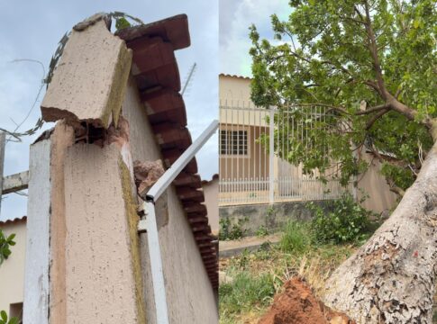 video:-vento-forte-derruba-arvore-e-muro-de-casa-no-df-fica-destruido