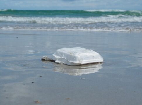 microplasticos-achados-em-praia-no-rj-vem-de-“quentinhas”,-diz-estudo