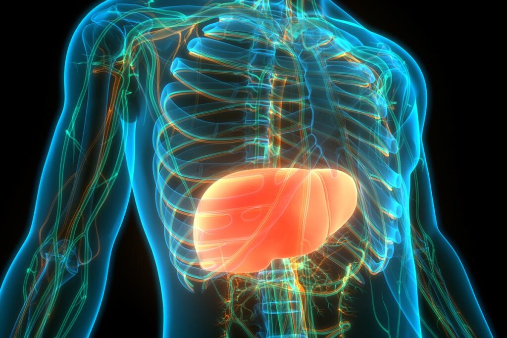 medico-aponta-qual-habito-tende-a-piorar-o-quadro-de-gordura-no-figado