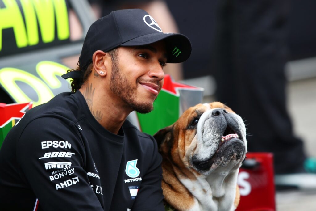 cachorro-de-lewis-hamilton,-roscoe-e-internado:-“horas-assustadoras”