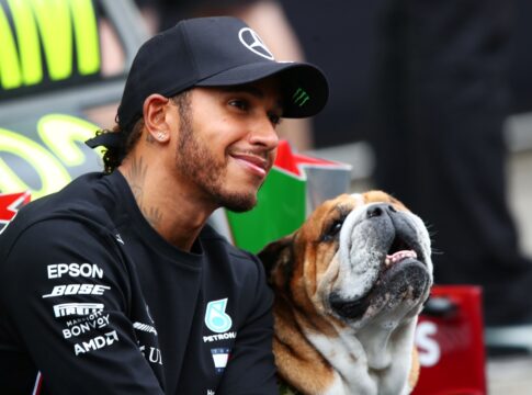 cachorro-de-lewis-hamilton,-roscoe-e-internado:-“horas-assustadoras”