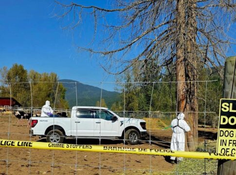 canada-ordena-abate-de-400-avestruzes-para-conter-gripe-aviaria-h5n1