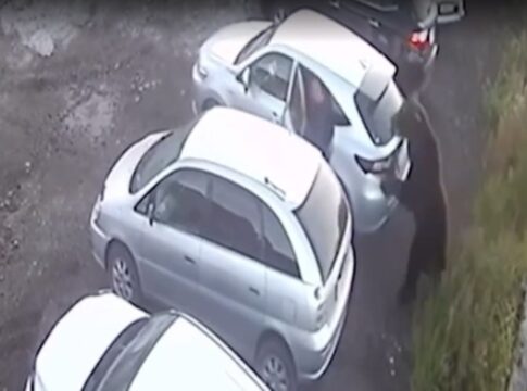 em-furia,-urso-persegue-e-ataca-homem-na-russia.-video