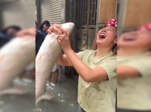 apos-supertufao,-chineses-pescam-peixes-em-ruas-alagadas.-video