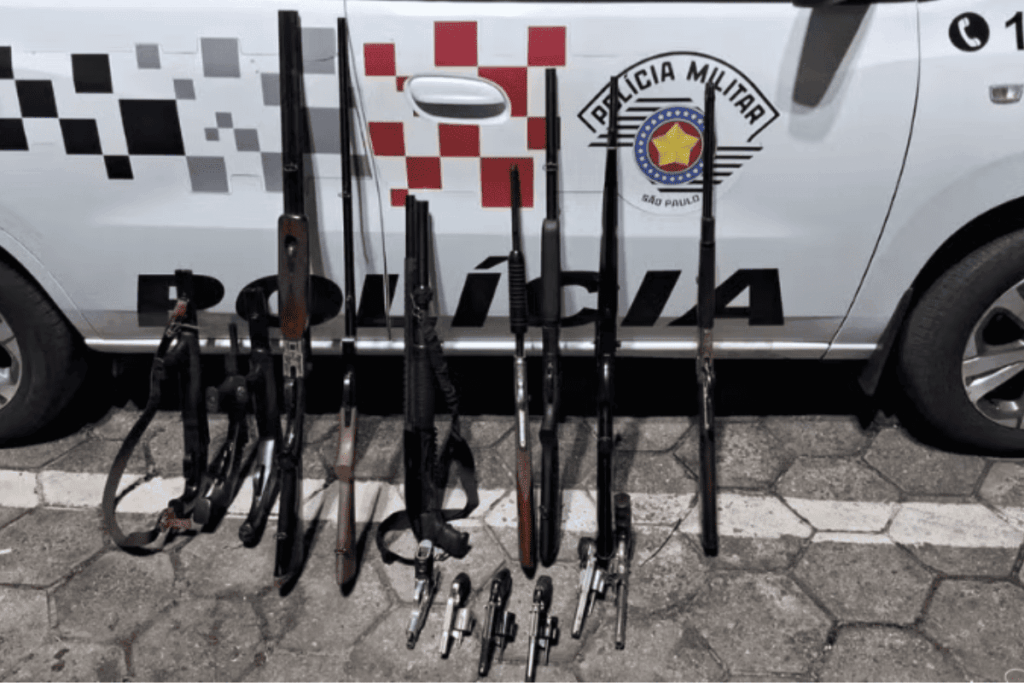 pai-e-filho-sao-presos-com-16-armas-apos-queixa-de-violencia-domestica