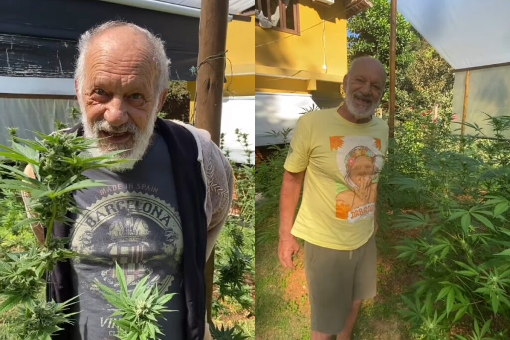ex-ator-da-globo-mostra-plantacao-de-maconha:-“dia-da-colheita”