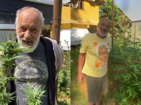 ex-ator-da-globo-mostra-plantacao-de-maconha:-“dia-da-colheita”