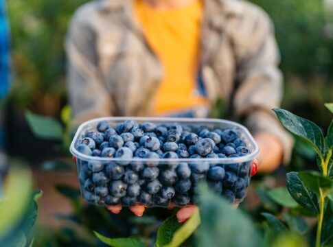 rota-das-frutas:-4-lugares-no-df-para-colher-e-comer-delicias-do-campo