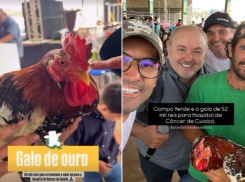 galo-e-leiloado-por-r$-52-mil-em-leilao-em-prol-do-hospital-do-cancer