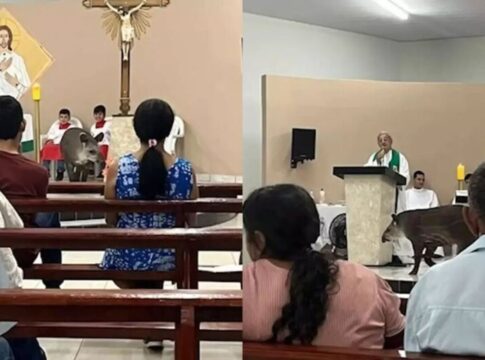 visitante-inesperado,-anta-invade-igreja-durante-missa-e-diverte-fieis
