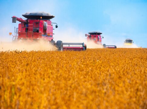 agro:-recuperacoes-judiciais-disparam-e-batem-recorde-no-2o-trimestre