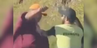 video:-agentes-de-transito-e-motorista-trocam-agressoes-no-meio-da-rua