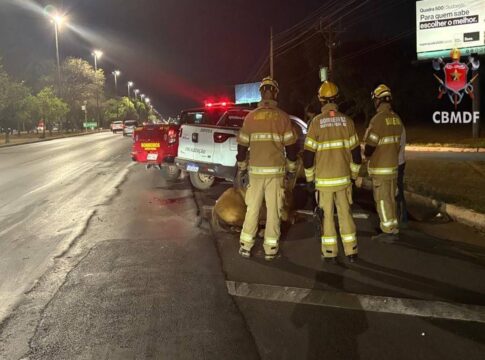 cavalo-e-sacrificado-apos-ser-atropelado-por-veiculo-na-epia-norte