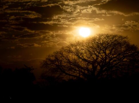 calorao-no-df:-baixa-umidade-deve-permanecer-ate-o-fim-da-semana