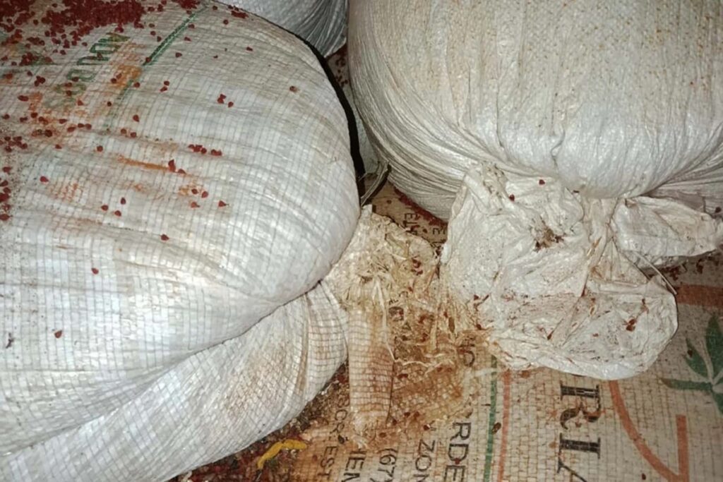 ba:-vigilancia-sanitaria-encontra-fezes-de-rato-em-fabricas-de-tempero