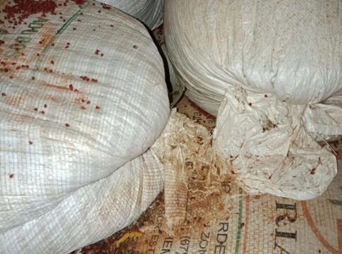 ba:-vigilancia-sanitaria-encontra-fezes-de-rato-em-fabricas-de-tempero