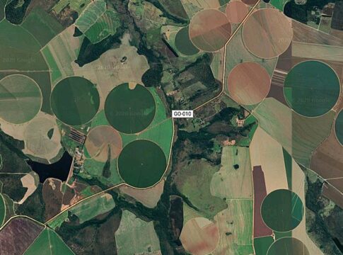 cerrado-brasileiro-perdeu-28%-da-vegetacao-nativa-em-40-anos