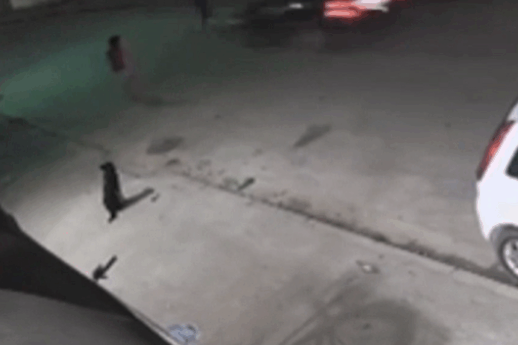 video:-menino-e-atropelado-enquanto-brincava-com-bola-em-rua-de-sp