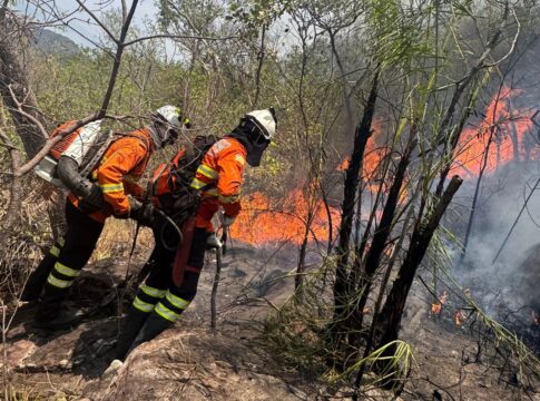 incendio-florestal-na-chapada-dos-veadeiros-chega-ao-3o-dia.-video