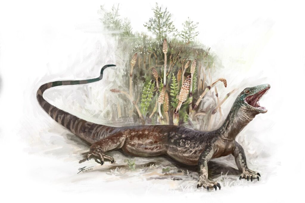 cobra-ou-lagarto?-saiba-por-que-fossil-tem-confundido-cientistas