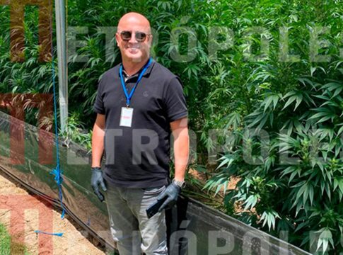 empresa-de-cannabis-do-careca-do-inss-pagou-r$-500-mil-a-suplente-de-damares