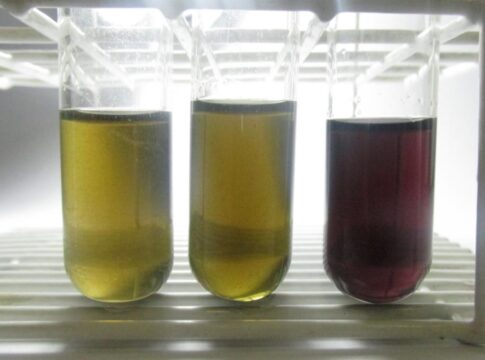 tecnica-desenvolvida-pela-unesp-detecta-metanol-em-bebidas-com-rapidez