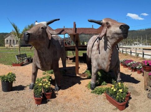 sc:-cidade-com-4-mil-habitantes-pode-entrar-no-guinness-book.-entenda