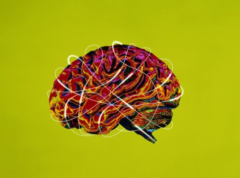 cientistas-identificam-area-do-cerebro-que-se-degrada-com-alzheimer