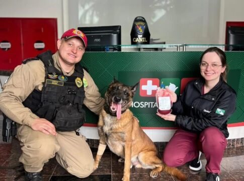 cao-policial-doa-sangue-para-salvar-cadela-atropelada-no-parana