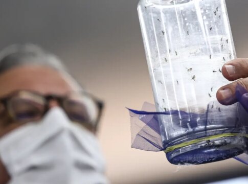 fabrica-de-mosquitos-oferece-tecnologias-para-reducao-da-dengue
