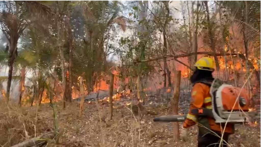 chapada:-incendio-atingiu-mais-de-35-mil-hectares.-veja-video
