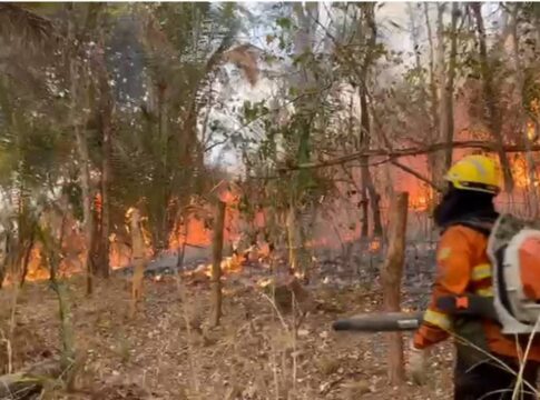 chapada:-incendio-atingiu-mais-de-35-mil-hectares.-veja-video