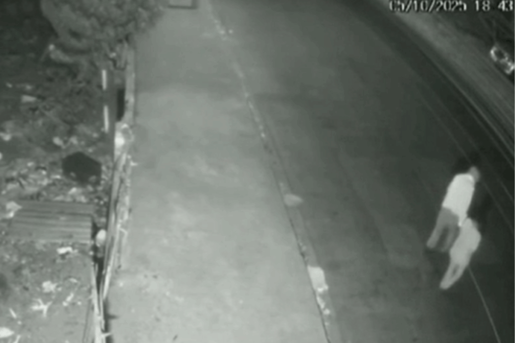 video:-casal-de-idosos-e-atropelado-por-homem-bebado-e-sem-cnh-em-sp