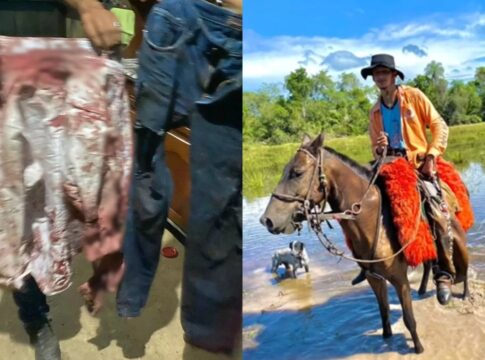 pantanal:-peao-atacado-por-onca-proximo-a-carcaca-segue-internado