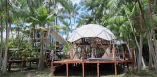 roteiro-turistico-em-belem-oferecera-visita-a-ilha-do-combu