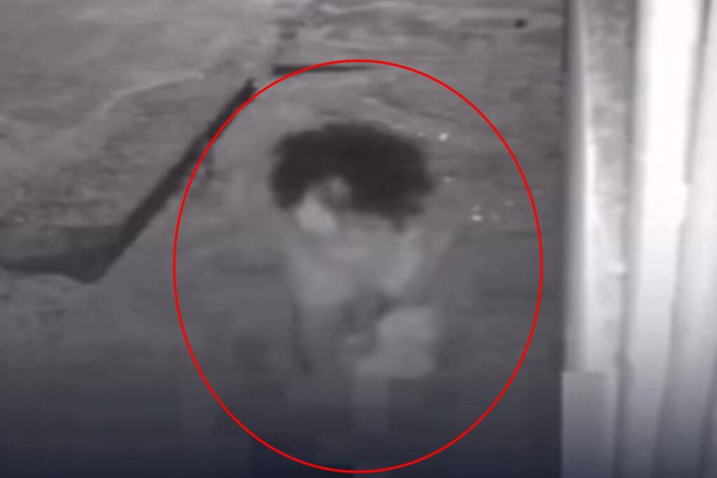 mulher-mata-irmao-com-14-golpes-de-faca-apos-briga-familiar;-video