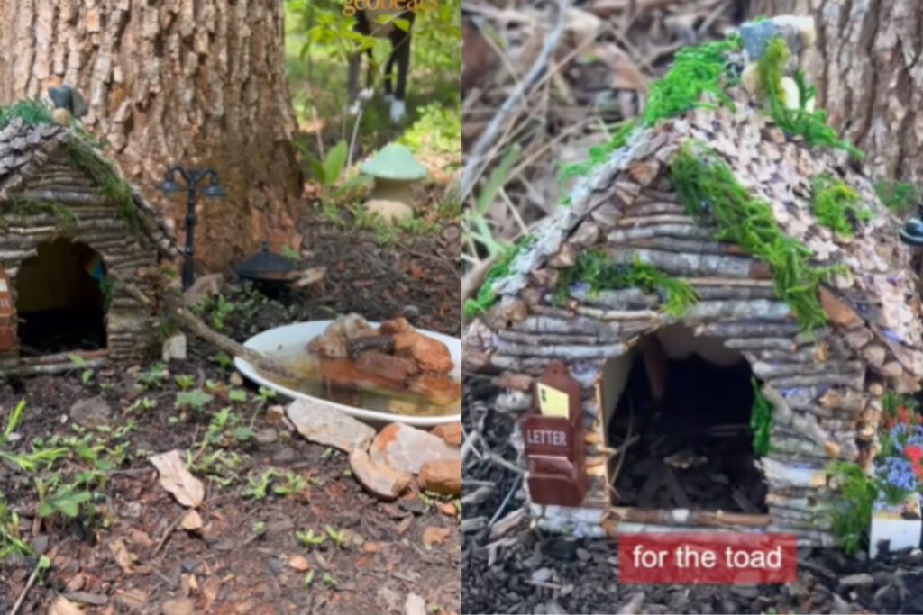 menino-faz-amizade-com-animal-inusitado-e-cria-casa-para-novo-pet